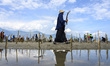 An Indonesian Volunteer Community (MRI) activist along with mangrove lovers planted mangro...
