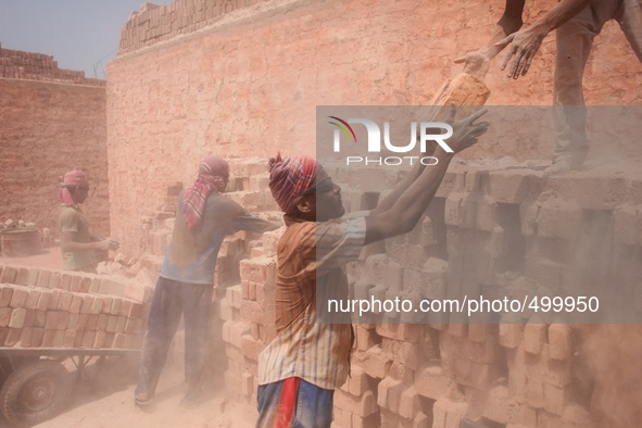 Brick field workers are working in a brick field of Rajendrapur near Dhaka, Bangladesh, 24 March, 2015. 