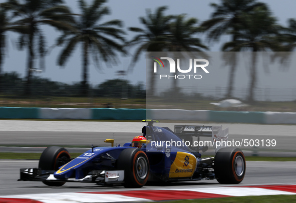 Brazilian Felipe Nasr of Sauber Martini Racing in action during second practice session of Malaysian Formula One Grand Prix at Sepang Intera...