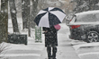 Man carries his daughter under a large umbrella as a winter snowstorm hit Toronto, Ontario...