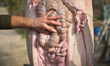ENG : Butchering a Pig homemade in traditional and ritual italian culture. This ritual is...