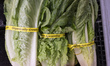 Romaine lettuce can be seen at a store in Mountain View, California, United States on Frid...