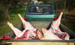 ENG : Butchering a Pig homemade in traditional and ritual italian culture. This ritual is...