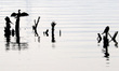 Migratory birds inside the Anasagar lake in Ajmer, India on 06 December 2019. 