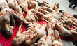 Activists of several organizations defending the animal rights hold a banner reading 'Fur...
