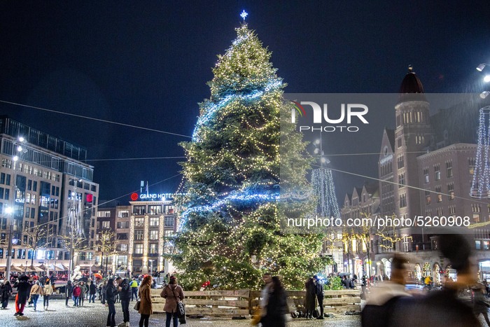 Christmas Tree In Amsterdam 
