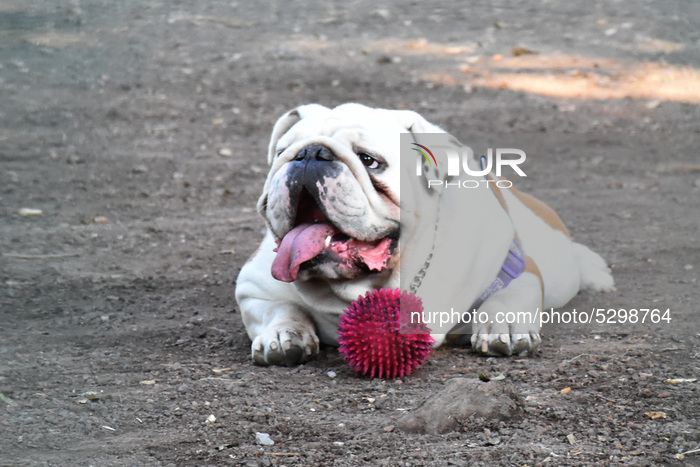 Daily Life In Mexico