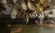 A view of caves inside Phnom Kampong Tranch.  The roof of a large cave in the center of a...