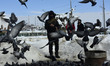 A Kashmiri man feeds pigeons at a shirine in Chrar area of Budgam District, Indian Adminis...