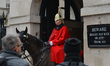 A mounted trooper of the Household Cavalry on duty at Horse Guards off Whitehall in centra...