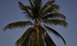 View of the moon from the island of San Andres, Colombia on February 6, 2020 one day befor...