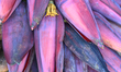 Banana plant flowers for sale at a produce market in Ambalmkulam, Thiruvananthapuram (Triv...
