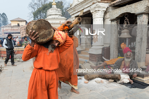 Hindu holy men (sadhus) carry fire wood at the Pashupatinath Temple, one of the holiest shrines of the Hindus as well as UNESCO Heritage Sit... by WIktor Szymanowicz/NurPhoto