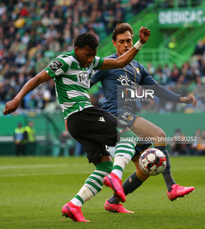 Sporting CP v CD Aves - Liga NOS