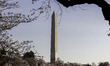 A National Mall monument is seen around cherry blossoms along the Tidal Basin in Washingto...