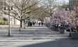 Empty shopping arcades in Hanover on 23 March 2020. Since this Monday, Lower Saxony and th...