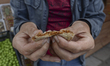 A local seller shows a traditionally dried fig. Selcuk, Turkey, on May 1, 2015. 