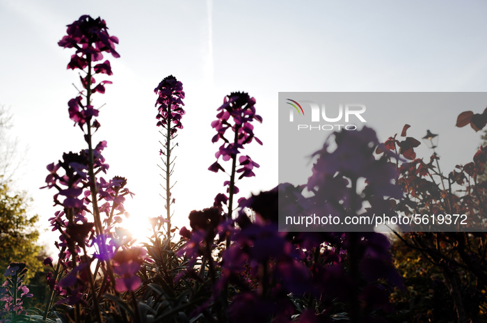 Signs Of Spring In London