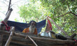 A sadhu settles in a scaffolding to make a social distancing from their pupils , during th...