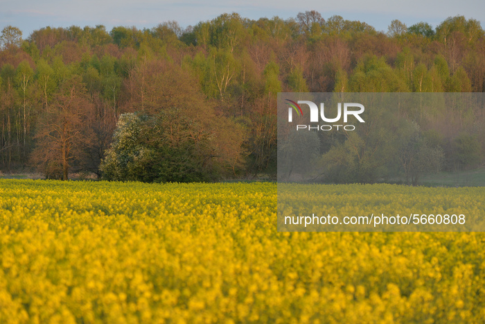 Daily Life In Poland Under Coronavirus Pandemic