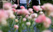 A couple in protective face masks is seen by a tulips (Tulipa) garden in front of Collegiu...