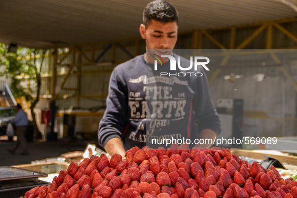 A strawberry seller in Hebron, Palestine, May 6th 2015.  