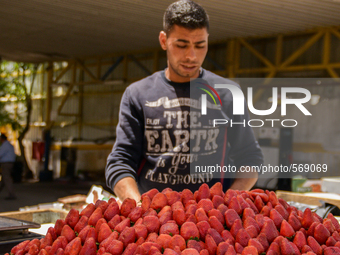 A strawberry seller in Hebron, Palestine, May 6th 2015.  (