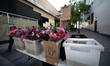 A view of a street vendor peddling flowers for Mother’s Day  in Main St. Flushing, New Yor...