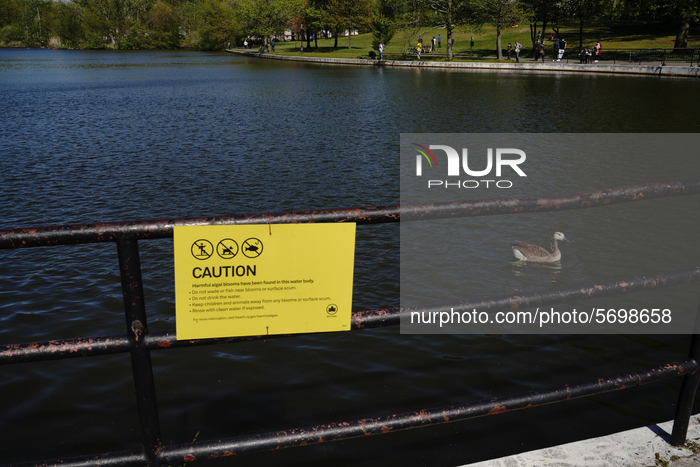 Daily Life In New York City Amid Coronavirus Outbreak