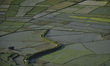 An aerial view of Nepalese farmers working in rice field during ongoing nationwide lockdow...