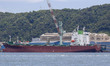  A View scene of HYUNDAI MIPO DOCKYARD in Ulsan, South Korea. Hyundai Heavy Industry Group...