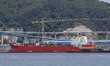  A View scene of HYUNDAI MIPO DOCKYARD in Ulsan, South Korea. Hyundai Heavy Industry Group...