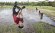 The 12-kilometer race with obstacles "Runmageddon" It took place on the track Sluzewiec in...