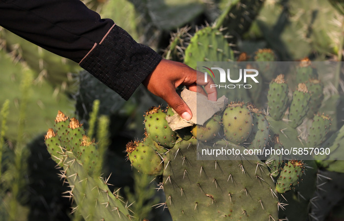 Daily Life In Gaza City 