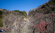 Taishan, China, the 23 April 2011. A view of Mount Tai from the stairs, a mountain of hist...