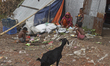 A flood affected family takes shelter on the high place at Manikganj near Dhaka, Banglades...