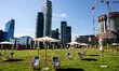 Lido bam, an oasis of greenery in Milan Porta Nuova equipped with umbrellas and deckchairs...