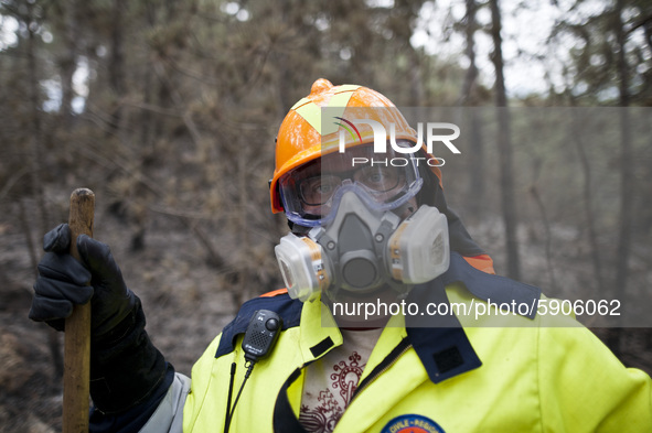 Firefighters and Civil Defense men at work to control fires in the mountains near L'Aquila, August 4, 2020. Fifth day of fear and concern ab...
