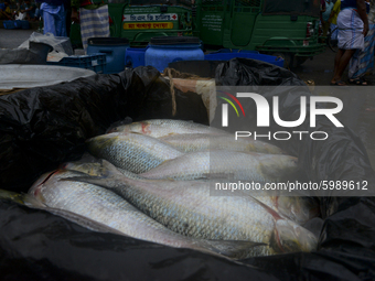 Bangladeshi vendors sell Hilsa fish at the Karwan Bazar wholesale fish market in Dhaka, Bangladesh, on September 10, 2020 (