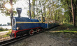 The Maltanka steam locomotive of recreational narrow gauge railway running along Malta Lak...