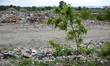 Tons of waste have been disposed at the green fields near the international railway from B...