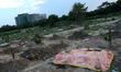 Graves of the victims who died due to Covid-19 inside a graveyard at ITO, on September 22,...