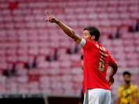 Ruben Dias of SL Benfica  celebrates after scoring a goal during the Portuguese League football match between SL Benfica and Moreirense FC a...