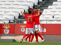 Ruben Dias of SL Benfica (R ) celebrates with teammates after scoring during the Portuguese League football match between SL Benfica and Mor...