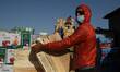 A Kashmiri labour wearing a mask carry boxes of Apples to be loaded onto trucks at a whole...