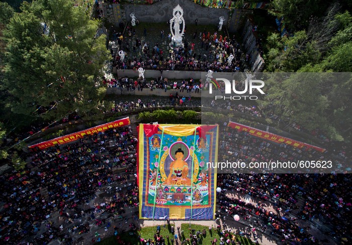 Drunken Dragon Festival