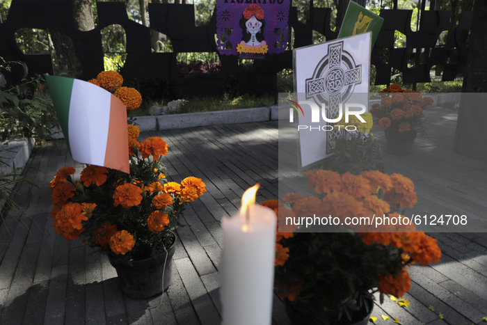 Eve Of Dia De Muertos In Mexico City
