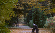 A woman is seen sitting on a bench n the Royal Baths park in Warsaw, Poland on October 31,...
