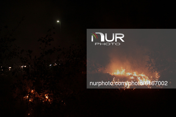 Smoke rising from a fire in shrubs in the forest near DND flyway fills the air, on November 7, 2020 in New Delhi, India. Delhi's Air Quality...