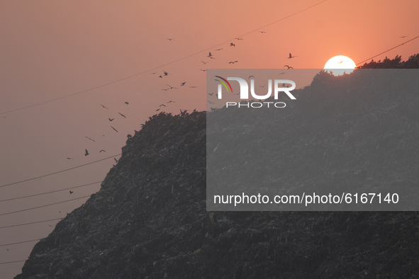 A view of Ghazipur landfill amid a layer of smoky haze, as the air quality hit 'severe' levels due to stubble burning from the adjoining sta...